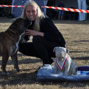 Plaque Attention au Chien, na pas déranger notre Golden Retriever 24 cm