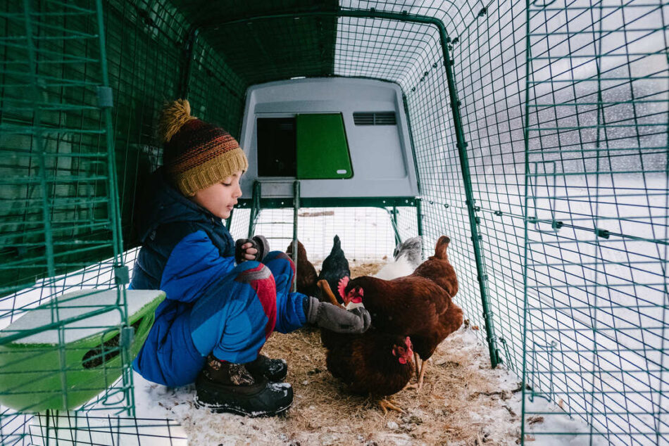 En dreng, der sidder i en Eglu hønseindhegning i sneen