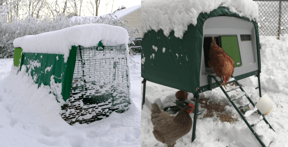 Collage af Omlet Eglu hønsehuse dækket af sne