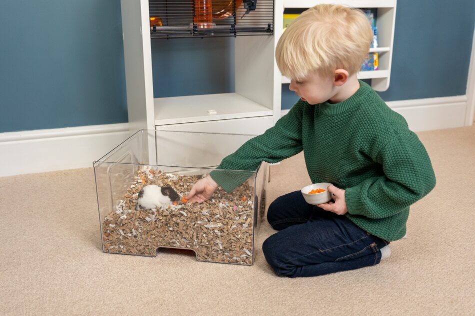Dreng leger med sin hamster med Omlet Qute hamsterbur i baggrunden