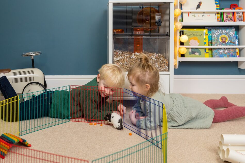 To børn ser på deres hamster i sin legegård, med et Omlet Qute hamsterbur i baggrunden