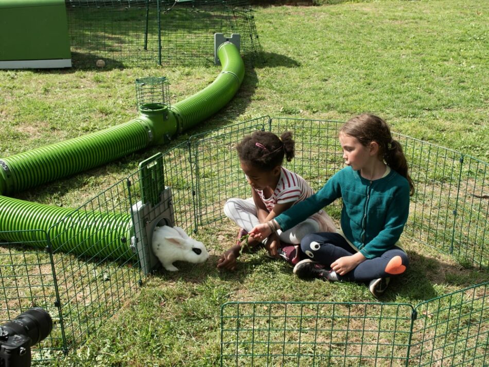 Børn udenfor med deres kanin i Omlet Zippi tunnelsystem  