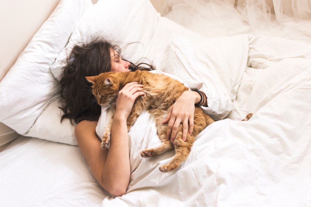 Påvirker din kat din søvn? -
