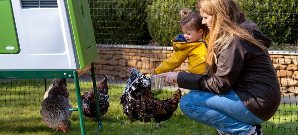 Pige og mor leger med høns uden for Omlet Eglu Cube hønsehus 