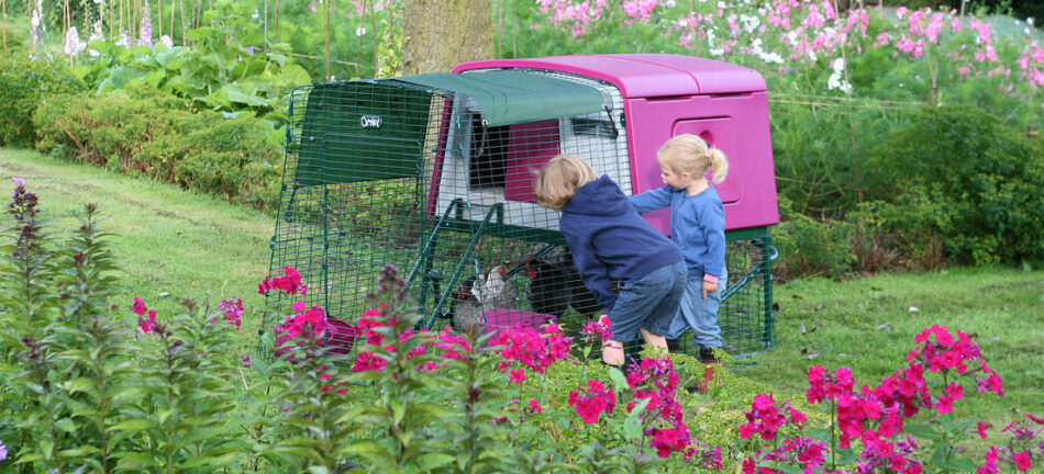 To børn ser på pink Eglu Cube hønsehus