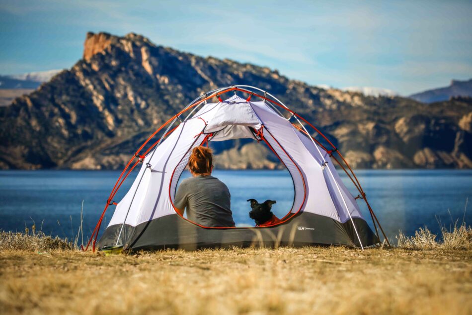 Hund og ejer camperer med bjerge i baggrunden