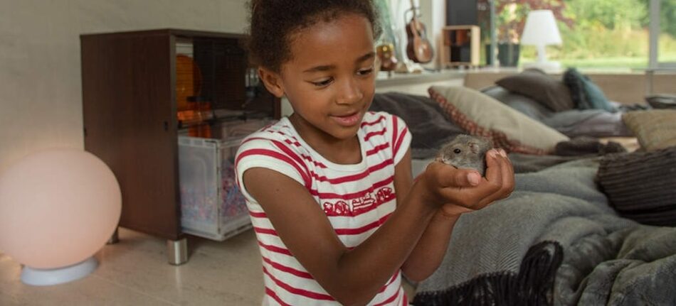 En pige holder sin hamster med Omlet Qute bur til hamstere og ørkenrotter i baggrunden