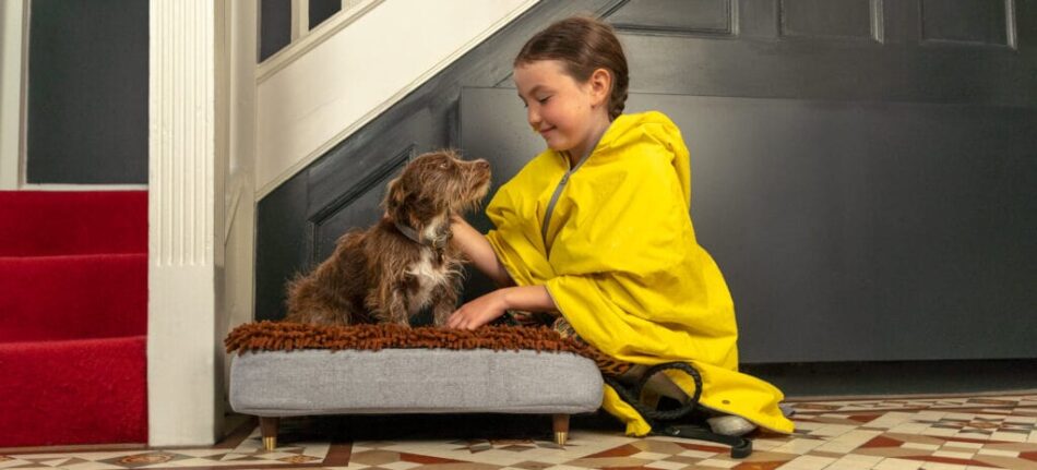 En pige aer en brun hund på en Topology hundeseng med mikrofiber topmadras