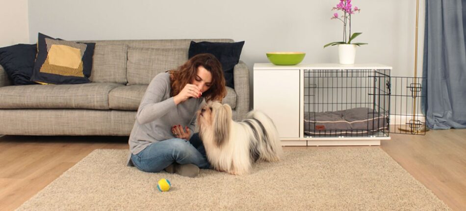 Kvinde lærer sin hund tricks ved siden af et Fido Studio hundebur