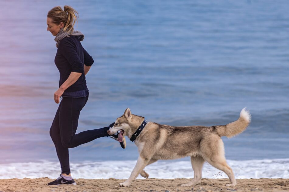 En kvinde løber på stranden med sin hund
