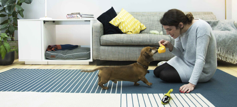 Gravhund og ejer leger indendørs med en Omlet Fido Nook 2 i 1 luksus hundehule bagved