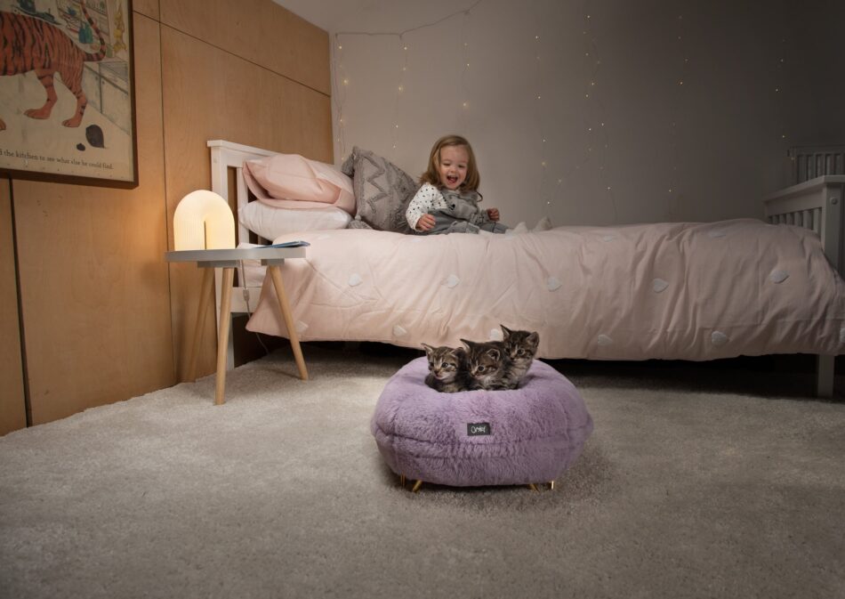 Pige sidder i seng og kigger på killinger i pudderlilla Maya Donut katteseng