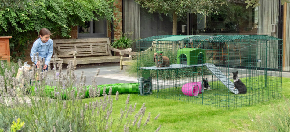 Pige udenfor i haven med kaniner bruger Omlet Zippi platform til kaningårde 