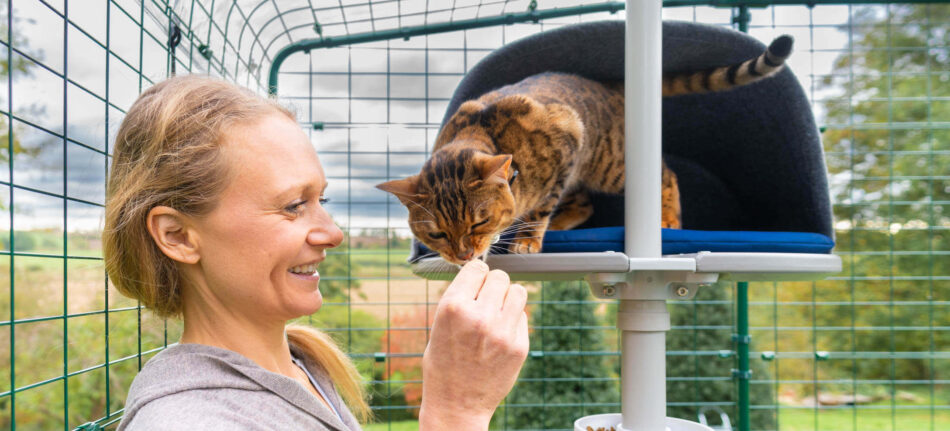 Kat og ejer interagerer - kat bruger Omlet Freestyle udendørs kattetræ i Omlet kattegård