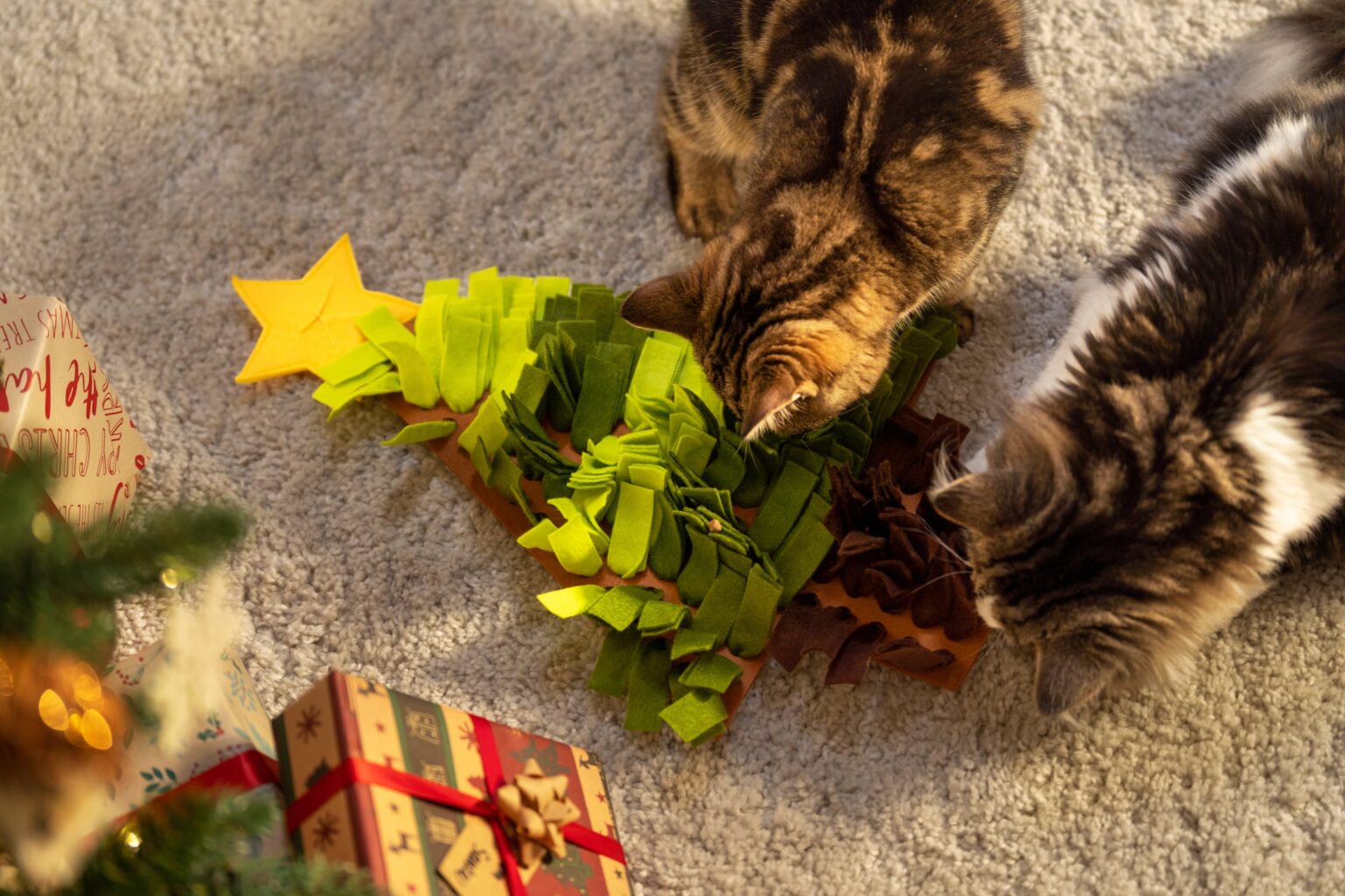 Din kats guide til julen - Omlet