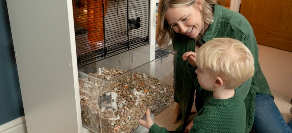 Dreng interagerer med hamster i Omlet Qute hamsterbur med sin mor 