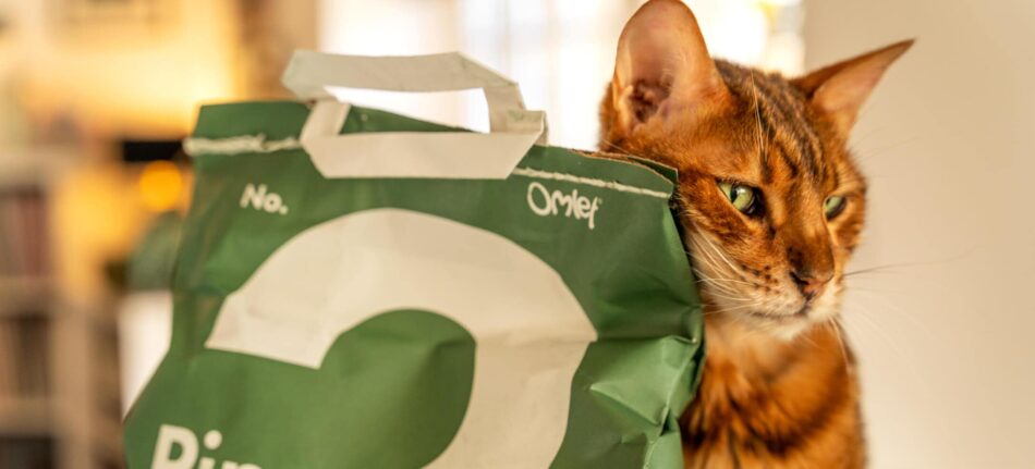Reducerer kattens co2-poteaftryk - kat gnider sig mod pose med Omlet fyrretræ-kattegrus