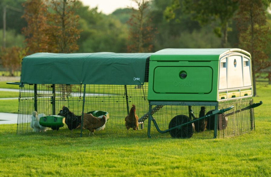 Eglu Pro opsætning i haven med høns i forbundet løbegård