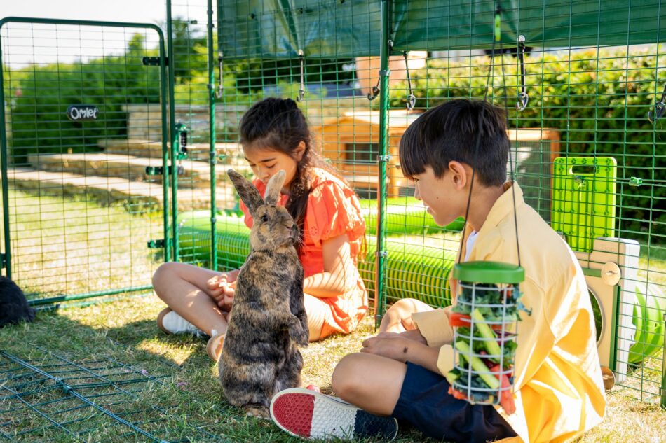 To børn udenfor med deres kanin i Omlet udendørs løbegård til kaniner 