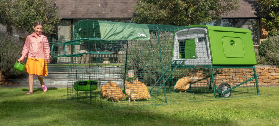 Pige og høns i et Eglu Cube hønsehus om sommeren 