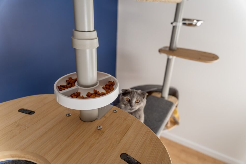 Kat ser på mad i Omlet Freestyle-kattetræ 