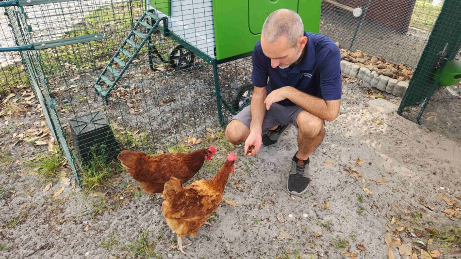 Jeremy Gary fodrer sin flok ved siden af ​​Omlet Eglu Cube-hønsehuset