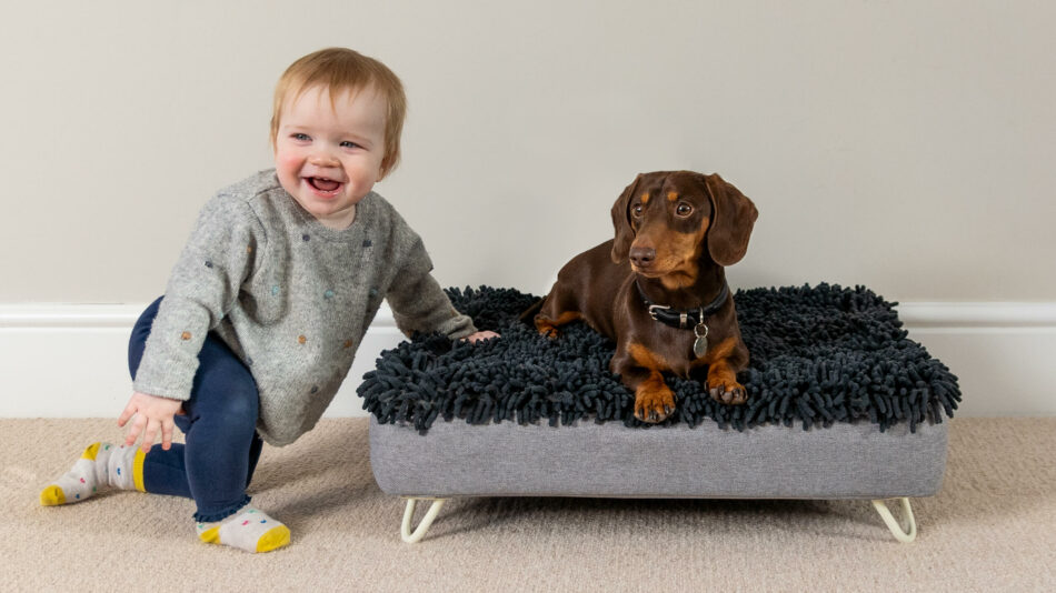 Baby med hund på Omlet Topology-hundeseng