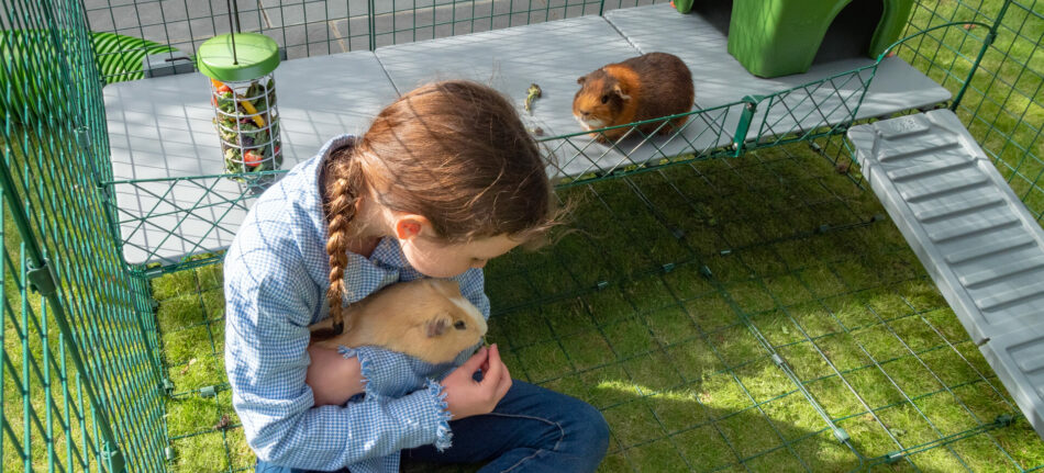 Pige, der kigger på et marsvin i Zippi-legegården