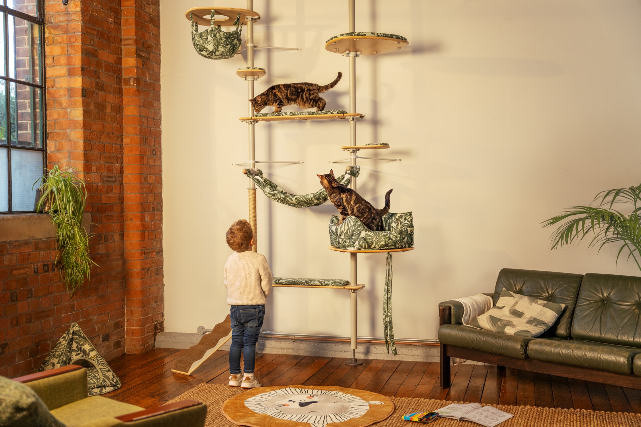 Indendors Freestyle kattetrae hemmelig have