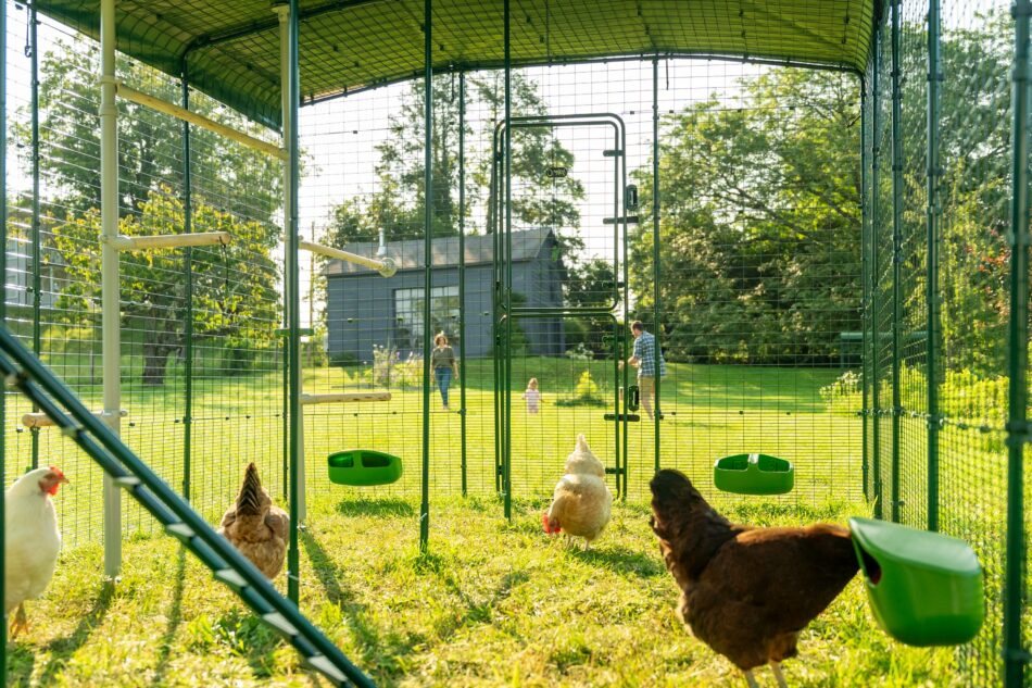 walk in lobegarde med hons og tilbehor