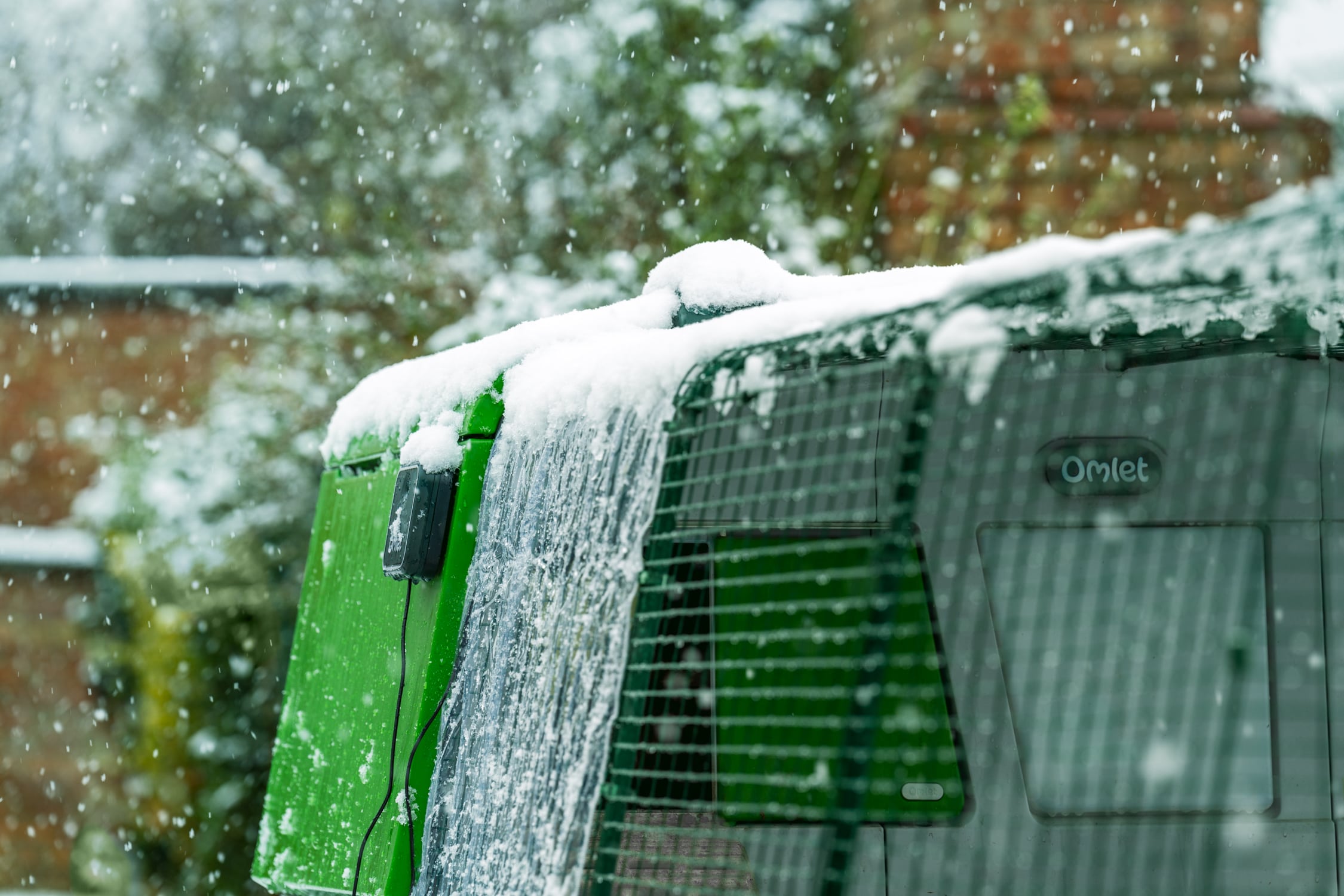 Eglu Pro i haven med sne på overtrækket